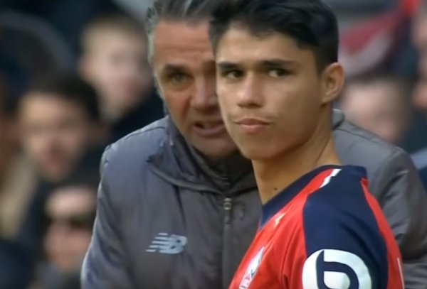 Flamenco striker: It s a bit n
